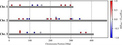 Profiling Transcriptional Response of Dengue-2 Virus Infection in Midgut Tissue of Aedes aegypti